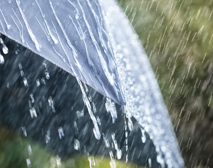 Regn-Temadag Regn-Temadag